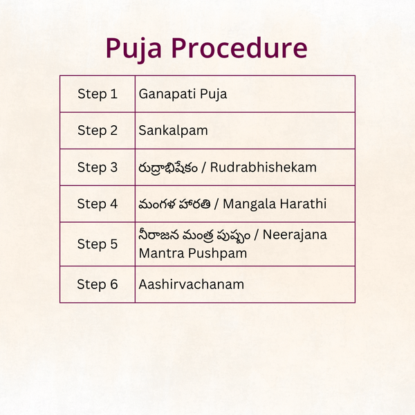 Rudrabhishekam (Eka Rudram) | Telugu Puja | Samagri Included | Telangana & Andhra | Karishye