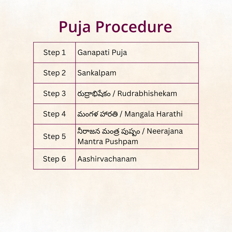 Rudrabhishekam (Eka Rudram) | Telugu Puja | Samagri Included | Telangana & Andhra | Karishye