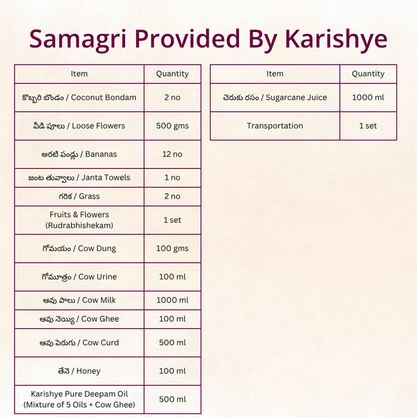 Rudrabhishekam (Eka Rudram) | Telugu Puja | Samagri Included | Telangana & Andhra | Karishye