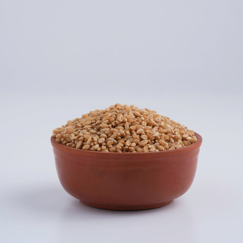 Wheat / గోధుమలు