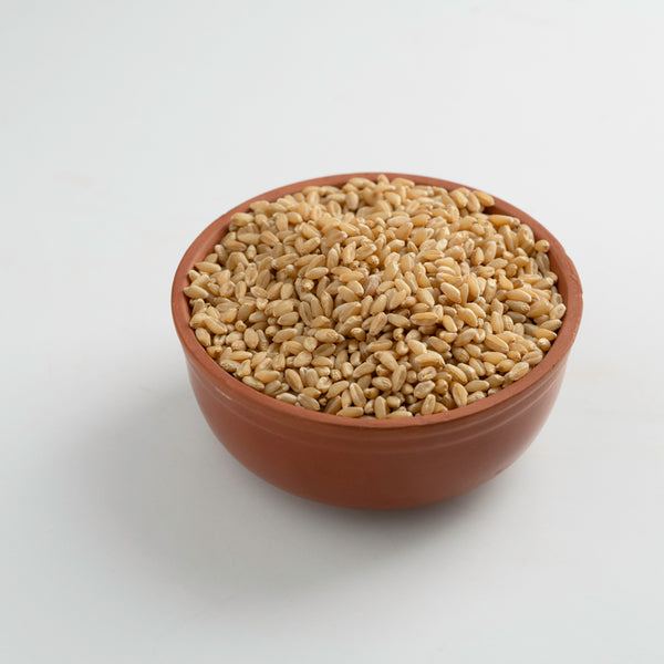 Wheat / గోధుమలు