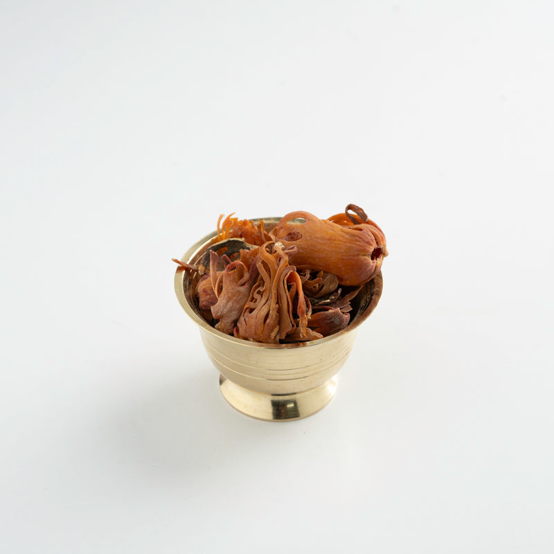 Nutmeg Mace / జాపత్రి