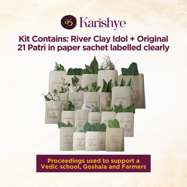 Kit contains a river clay idol plus the original 21 patri in clearly labelled paper sachets