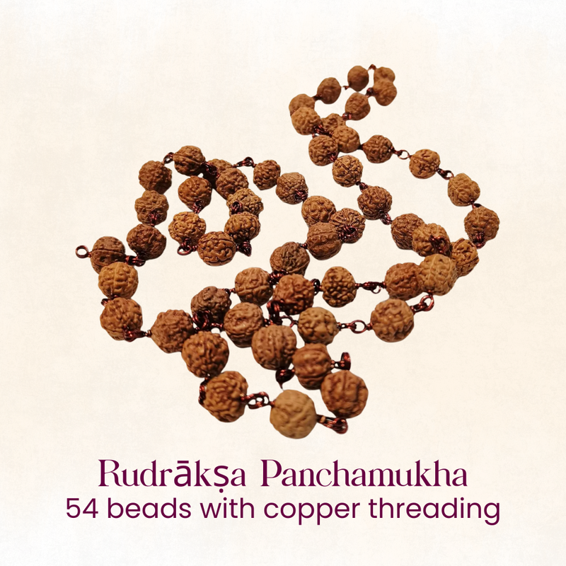 Karishye Mahāśivarātri Pūjā Anubhavaṁ – 2026