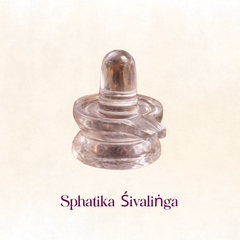 Karishye Mahāśivarātri Pūjā Anubhavaṁ – 2026