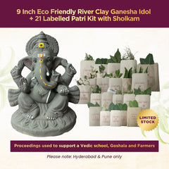 Karishye Ganesha Kit 2026 — 9 inch eco friendly river clay Ganesha idol with 21 labelled patri kit and sholkam, Hyderabad and Pune