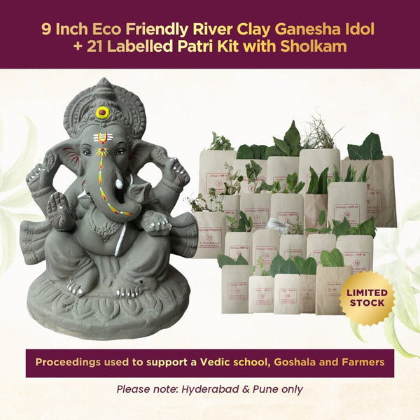 Karishye Ganesha Kit 2026 — 9 inch eco friendly river clay Ganesha idol with 21 labelled patri kit and sholkam, Hyderabad and Pune