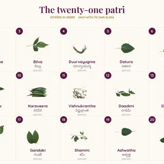 All twenty-one patri, numbered and named