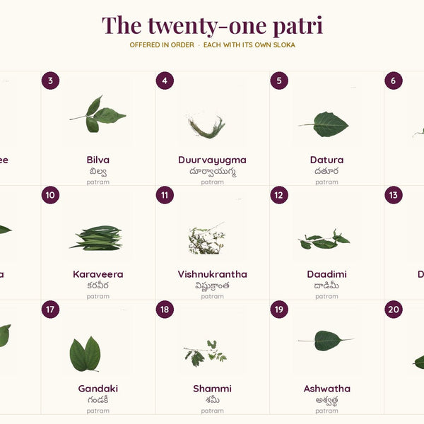 All twenty-one patri, numbered and named
