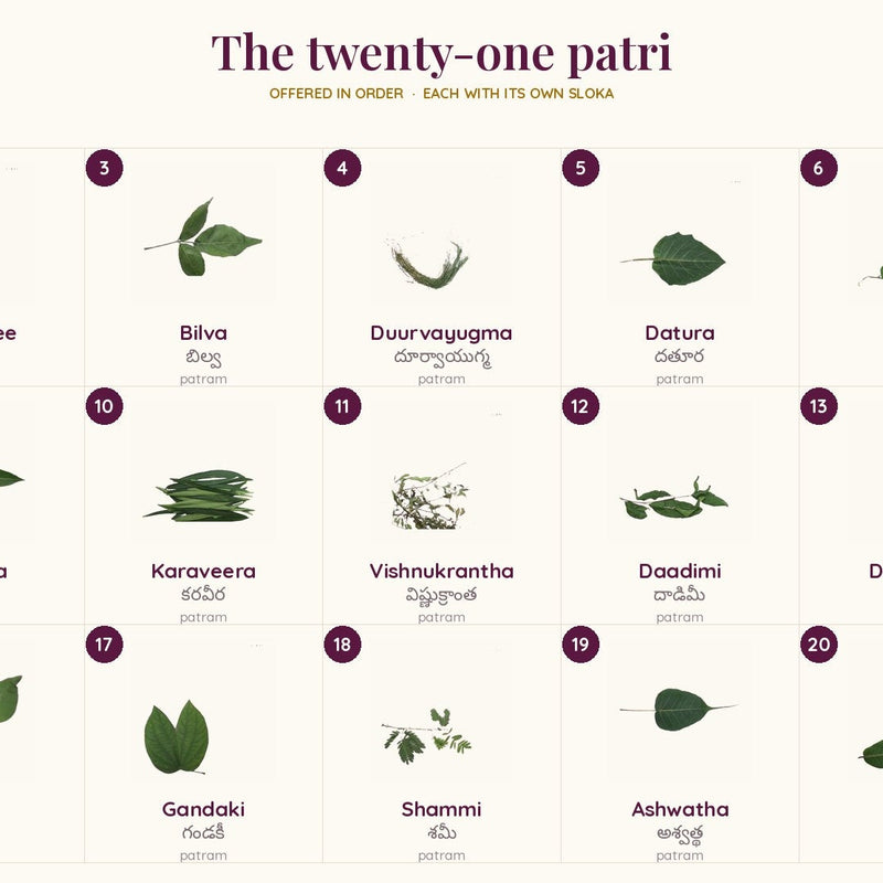 All twenty-one patri, numbered and named